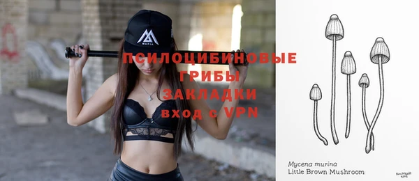 прущие крисы Аркадак