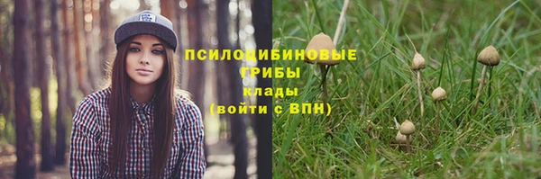 первитин Арсеньев